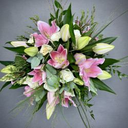 Lily