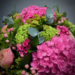 Blooming
