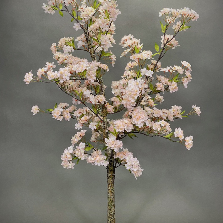 Pale Pink Blossom Tree