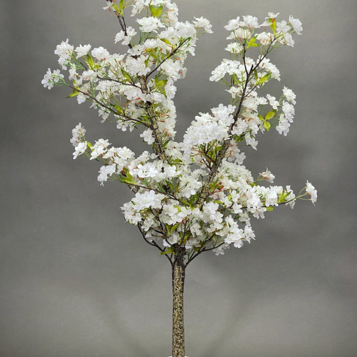 White Blossom Tree