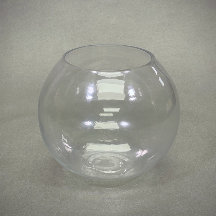 Large Fishbowl