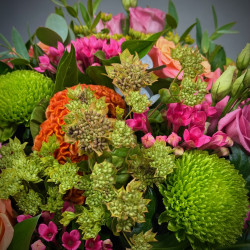 Flowerbomb
