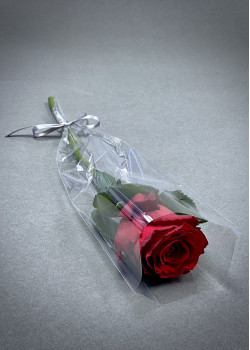 Red Rose