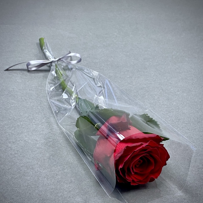 Red Rose