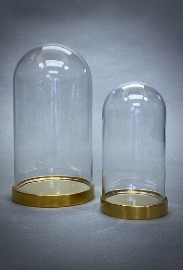 Glass Cloche Large & Small