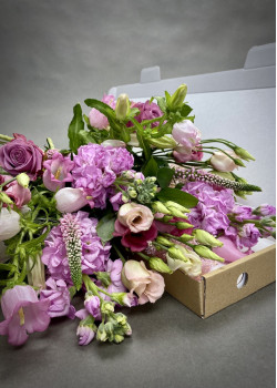 Letterbox Pinks