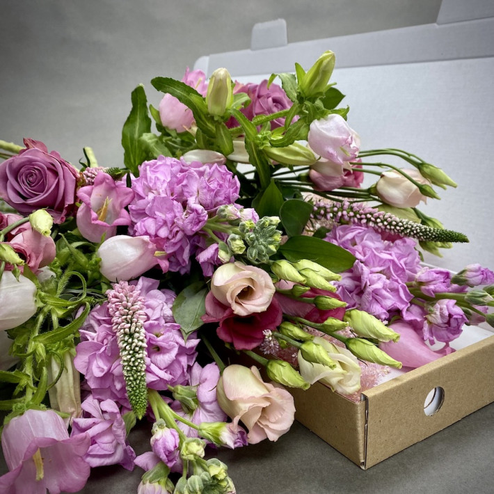 Letterbox Pinks