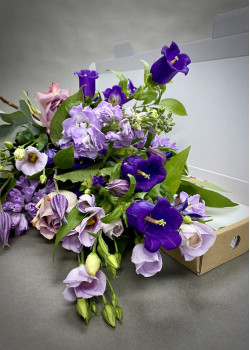 Letterbox Purples