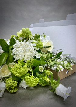 Letterbox Greens
