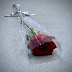 Red Rose