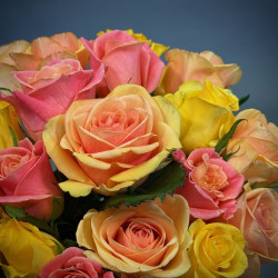 Simply Roses