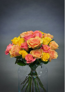 Simply Roses